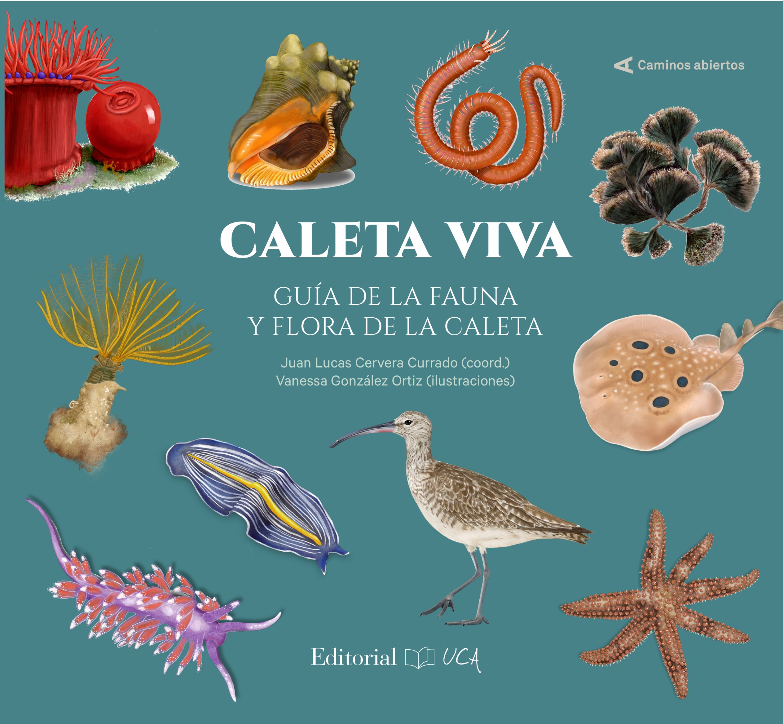 Caleta Viva. Guía de la fauna y flora de La Caleta